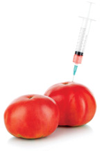 Tomato Injection